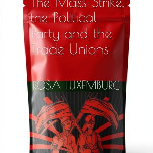 Anarcho-Communist Institute Labor Relations Kindle-0